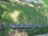 image of grave number 519038